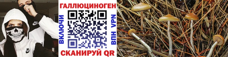 Галлюциногенные грибы ЛСД  купить закладку  мориарти какой сайт  Армянск 